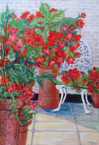 Geraniums and Petunias on the Terrace, 2011